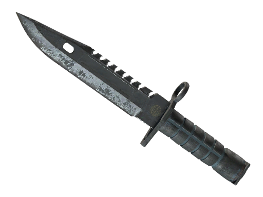 ★ M9 Bayonet | Night (Battle-Scarred)