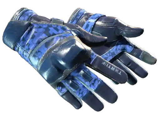 ★ Moto Gloves | Polygon (Field-Tested)