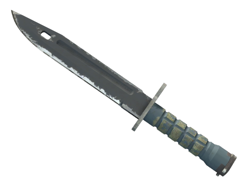 ★ Bayonet | Night (Field-Tested)