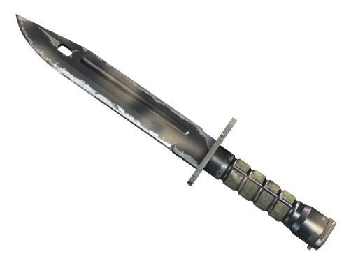 ★ Bayonet | Scorched (Well-Worn)