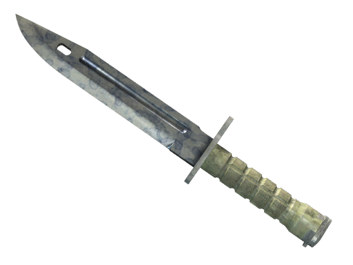 ★ Bayonet | Stained (Field-Tested)