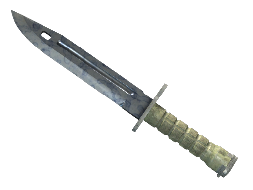 ★ Bayonet | Stained (Minimal Wear)