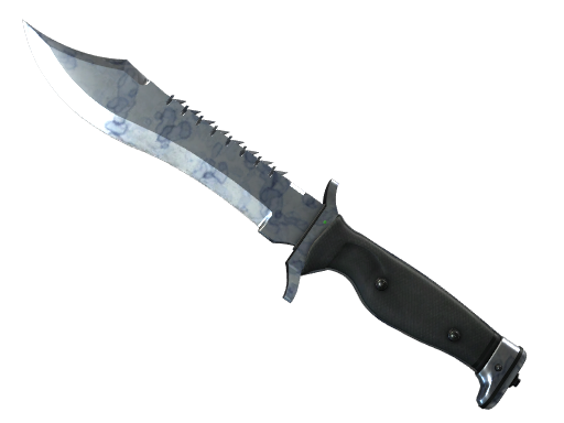 ★ Bowie Knife | Stained (Factory New)