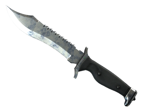 ★ Bowie Knife | Stained (Field-Tested)