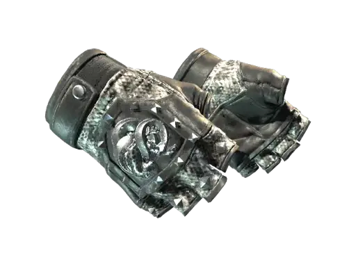 ★ Broken Fang Gloves | Unhinged (Field-Tested)