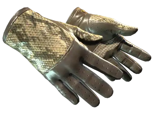 ★ Driver Gloves | Diamondback (Minimal Wear)