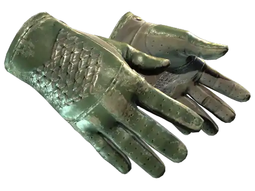 ★ Driver Gloves | Racing Green (Battle-Scarred)