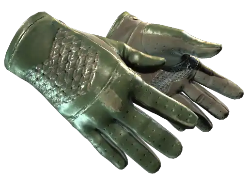★ Driver Gloves | Racing Green (Field-Tested)