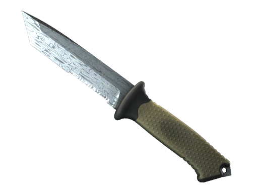 ★ StatTrak™ Ursus Knife | Damascus Steel (Field-Tested)
