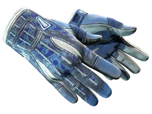 ★ Sport Gloves | Amphibious (Battle-Scarred)