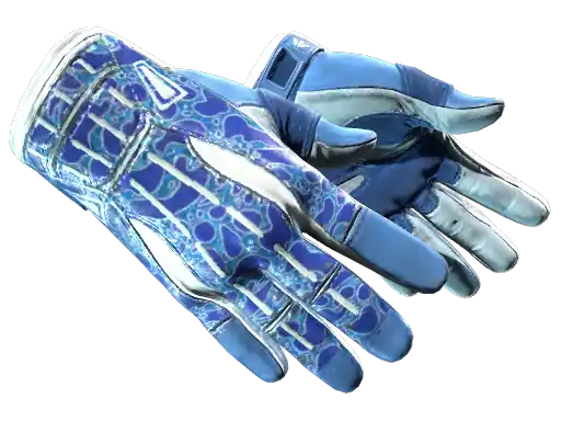 ★ Sport Gloves | Amphibious (Factory New)