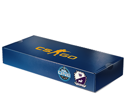 ESL One Cologne 2014 Cobblestone Souvenir Package