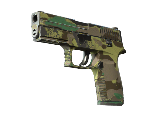 Souvenir P250 | Boreal Forest (Field-Tested)