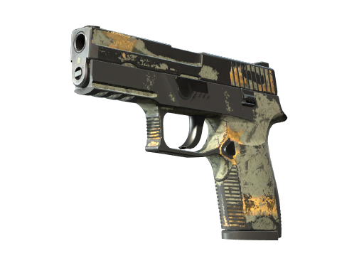 P250 | Modern Hunter (Battle-Scarred)