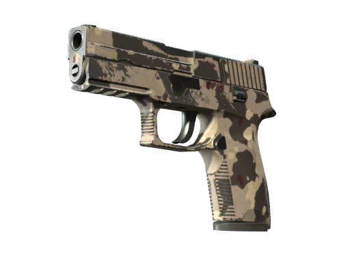 P250 | Black & Tan (Field-Tested)
