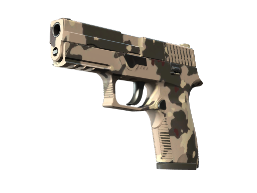 P250 | Black & Tan (Minimal Wear)