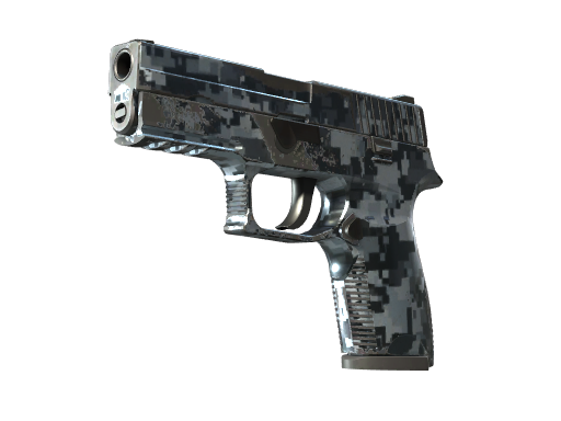 P250 | Steel Disruption (Field-Tested)