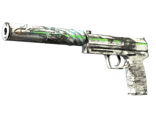 USP-S | Road Rash (Factory New)